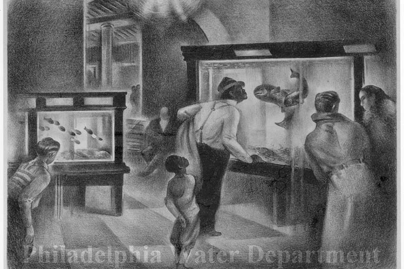 Aquarium at FWW